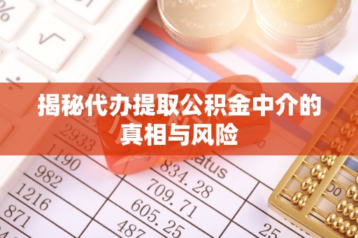 巫溪揭秘代办提取公积金中介的真相与风险