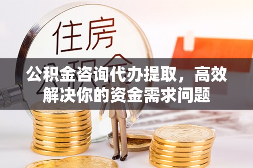 巫溪公积金咨询代办提取，高效解决你的资金需求问题