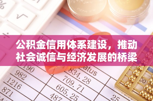 巫溪公积金信用体系建设，推动社会诚信与经济发展的桥梁