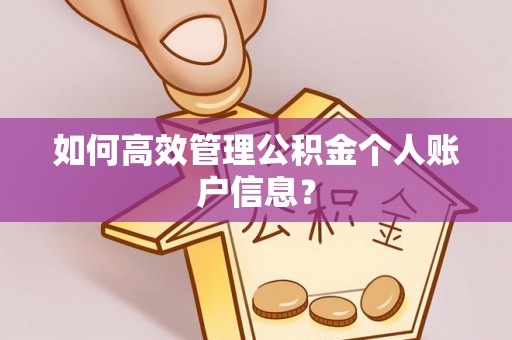 巫溪如何高效管理公积金个人账户信息？