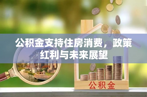 巫溪公积金支持住房消费，政策红利与未来展望