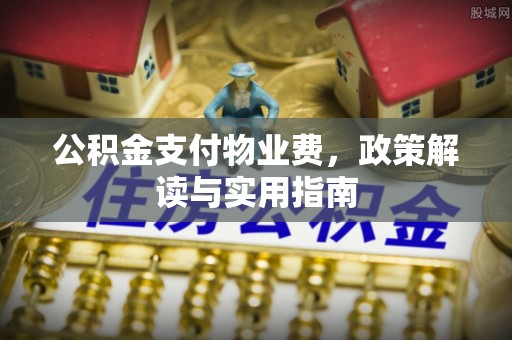 巫溪公积金支付物业费，政策解读与实用指南