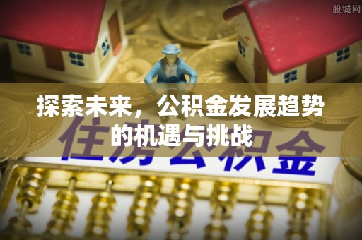 巫溪探索未来，公积金发展趋势的机遇与挑战