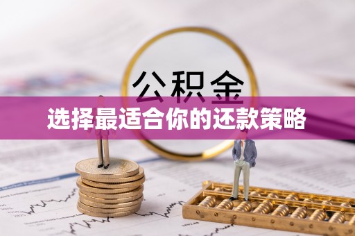 巫溪选择最适合你的还款策略