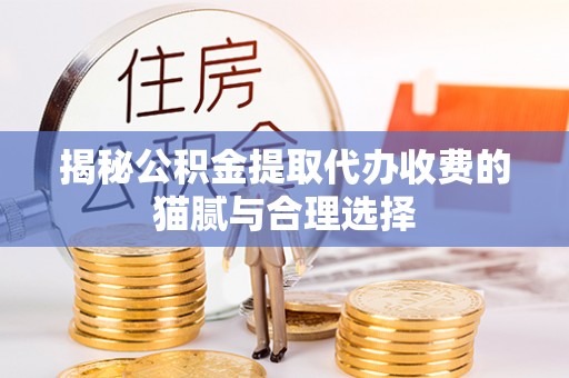 巫溪揭秘公积金提取代办收费的猫腻与合理选择